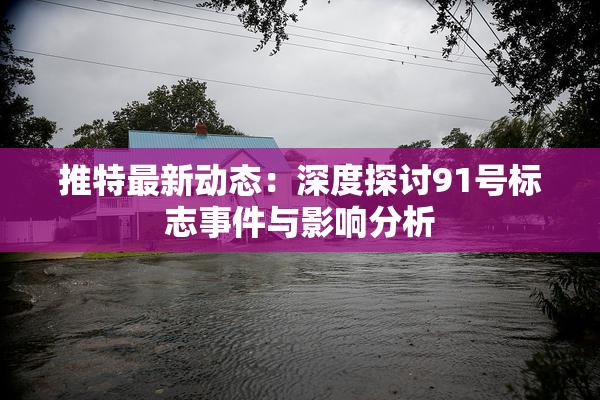 推特最新动态：深度探讨91号标志事件与影响分析