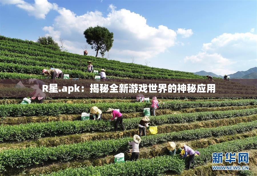 R星.apk：揭秘全新游戏世界的神秘应用