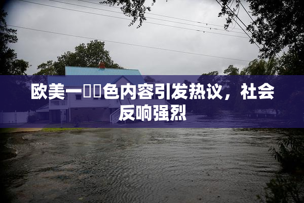 欧美一級黃色内容引发热议，社会反响强烈