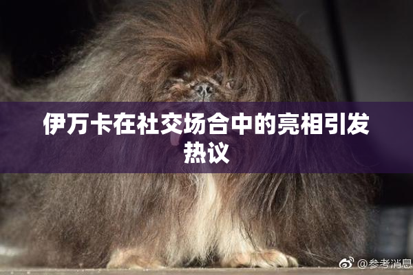 伊万卡在社交场合中的亮相引发热议