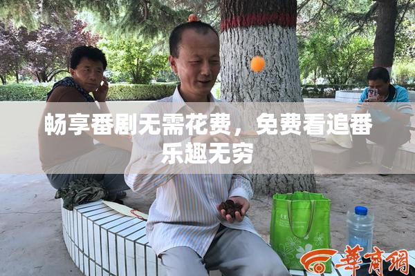 畅享番剧无需花费，免费看追番乐趣无穷