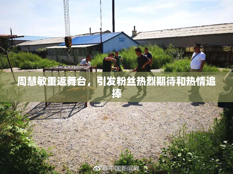 周慧敏重返舞台，引发粉丝热烈期待和热情追捧