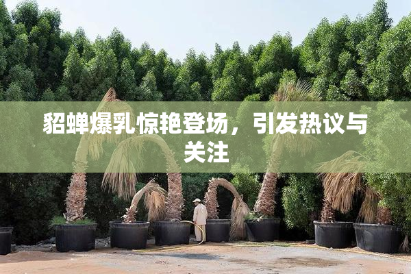 貂蝉爆乳惊艳登场，引发热议与关注