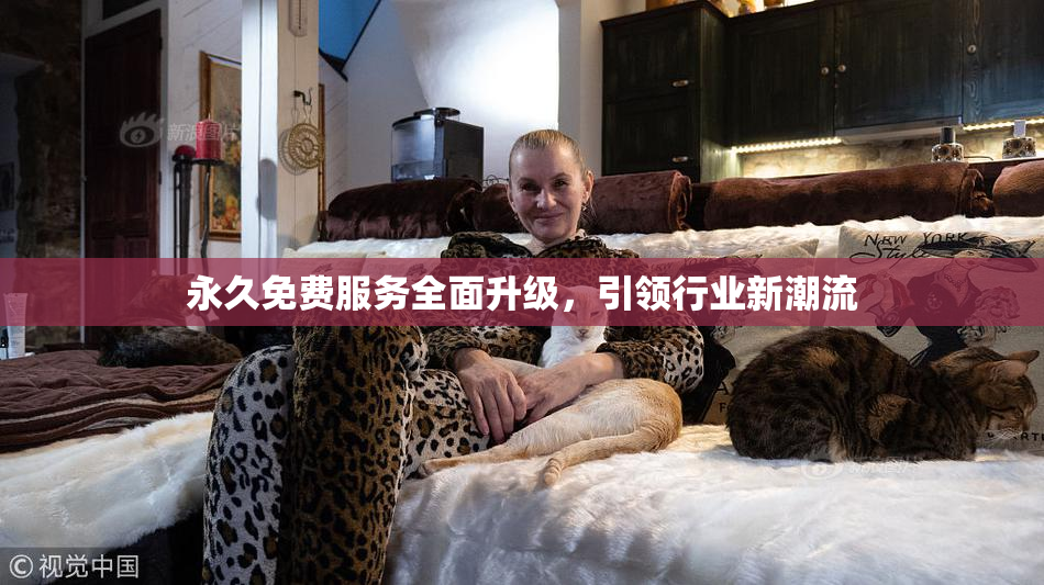永久免费服务全面升级，引领行业新潮流