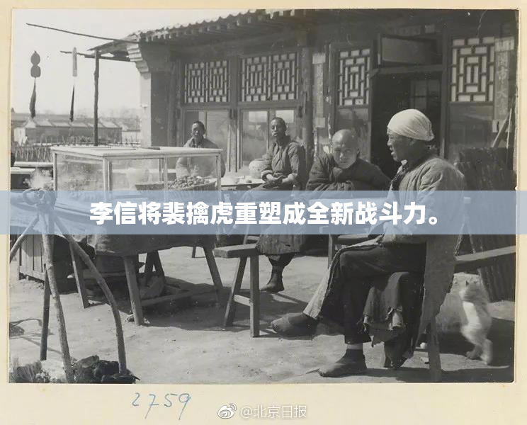 李信将裴擒虎重塑成全新战斗力。