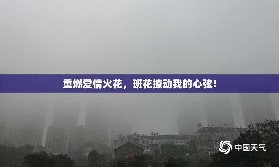 重燃爱情火花，班花撩动我的心弦！