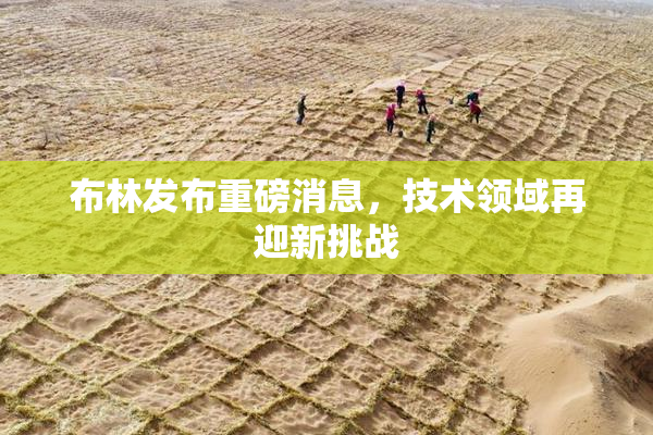 布林发布重磅消息，技术领域再迎新挑战