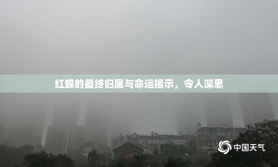 红蝶的最终归属与命运揭示，令人深思