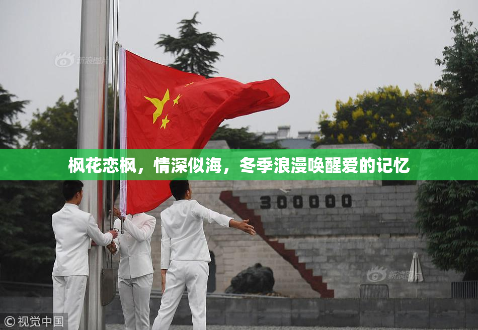 枫花恋枫，情深似海，冬季浪漫唤醒爱的记忆
