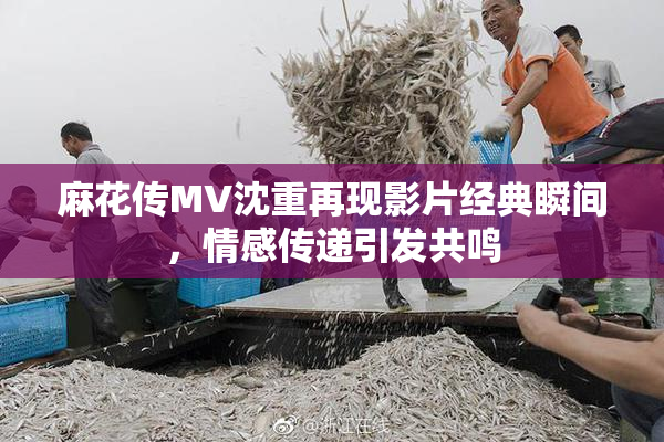 麻花传MV沈重再现影片经典瞬间，情感传递引发共鸣