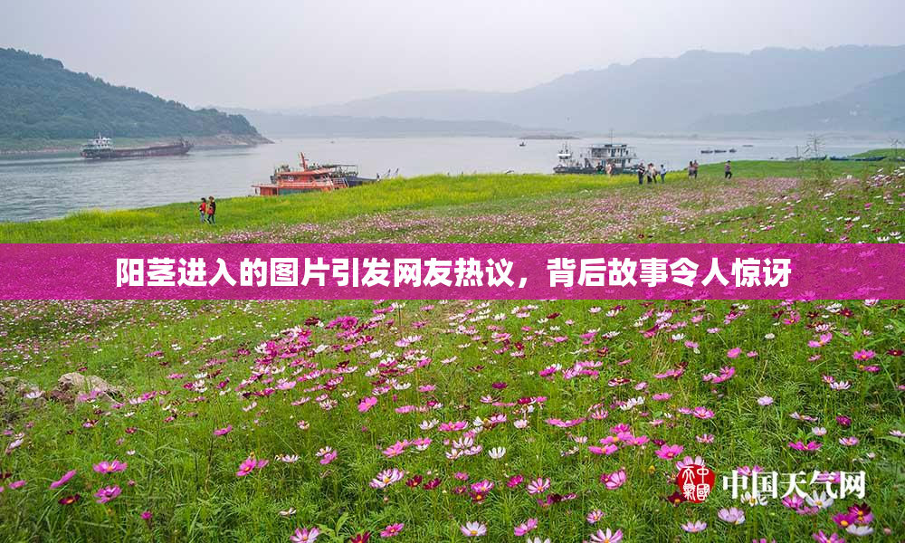 阳茎进入的图片引发网友热议，背后故事令人惊讶