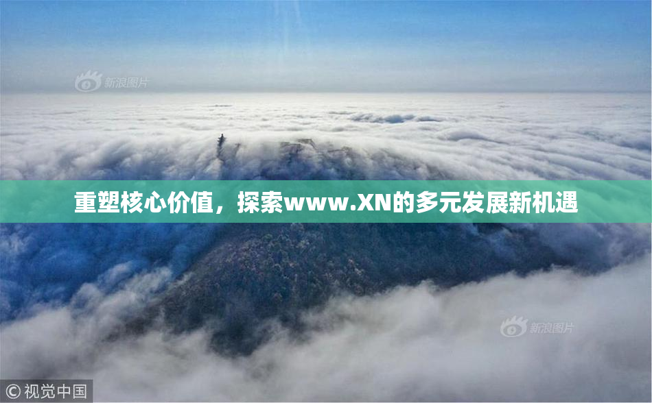重塑核心价值，探索www.XN的多元发展新机遇