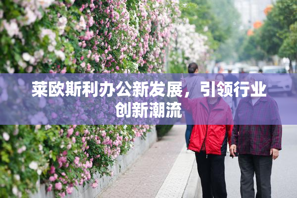 莱欧斯利办公新发展，引领行业创新潮流