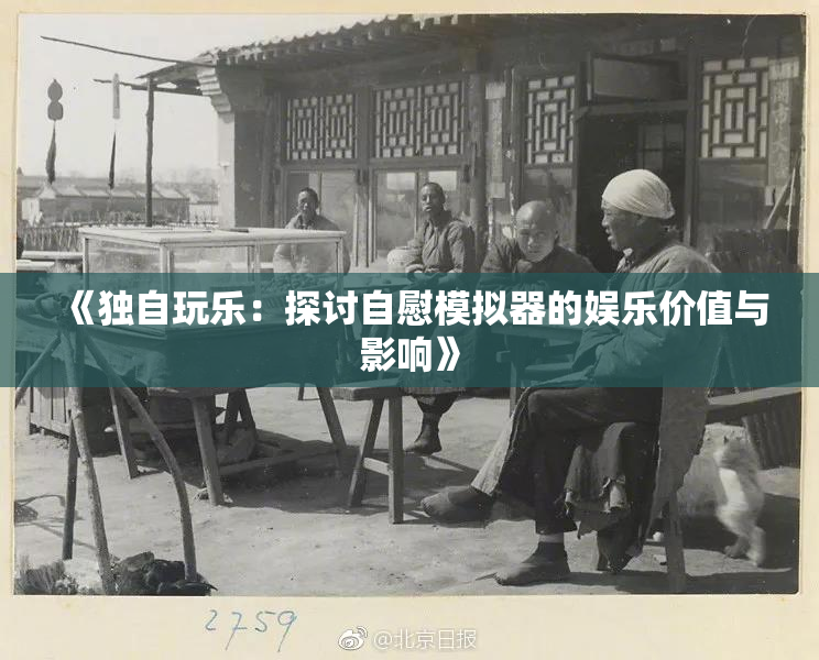 《独自玩乐：探讨自慰模拟器的娱乐价值与影响》