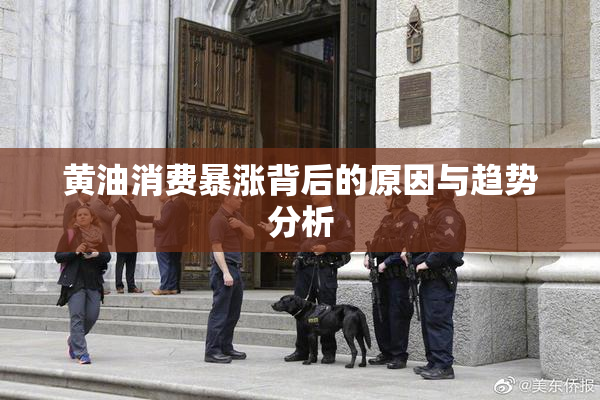 黄油消费暴涨背后的原因与趋势分析
