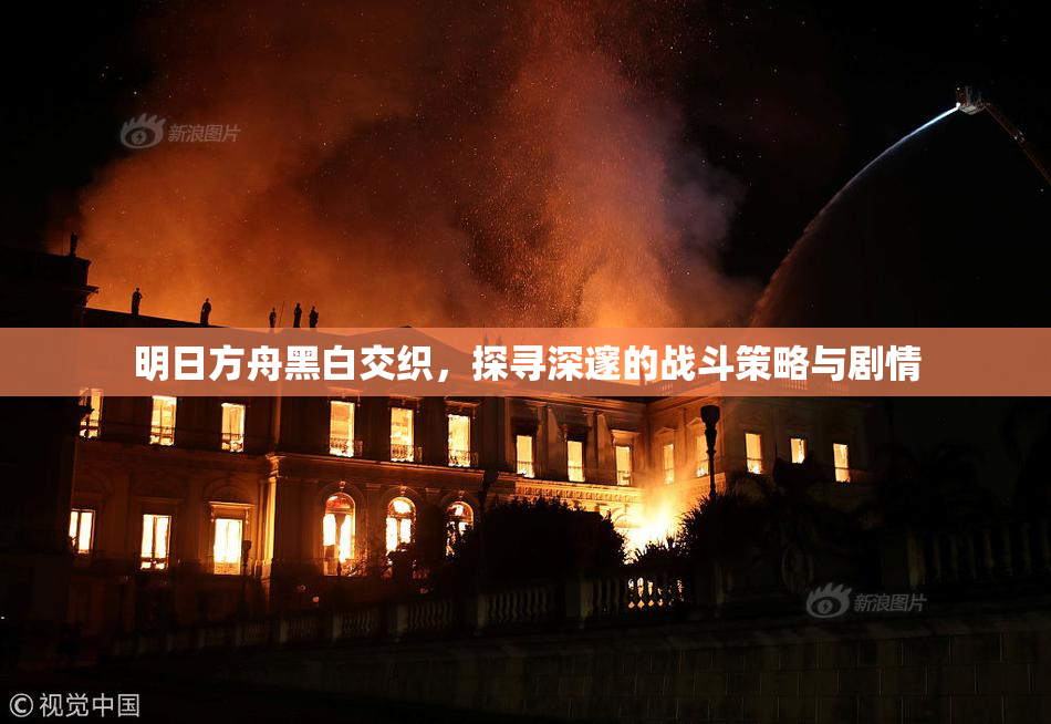 明日方舟黑白交织，探寻深邃的战斗策略与剧情