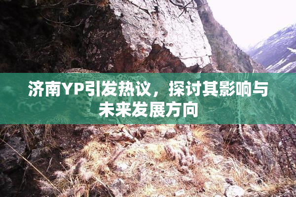 济南YP引发热议，探讨其影响与未来发展方向