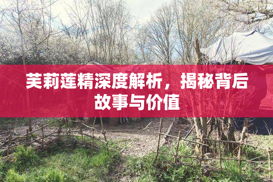 芙莉莲精深度解析，揭秘背后故事与价值