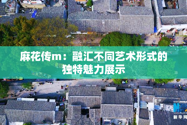 麻花传m：融汇不同艺术形式的独特魅力展示