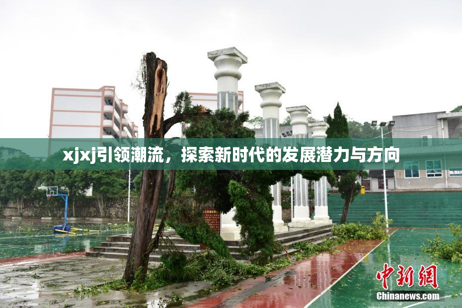 xjxj引领潮流，探索新时代的发展潜力与方向