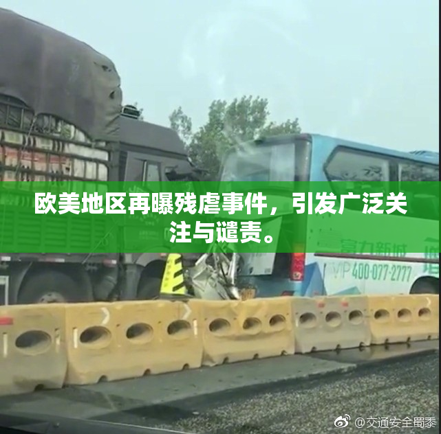 欧美地区再曝残虐事件，引发广泛关注与谴责。
