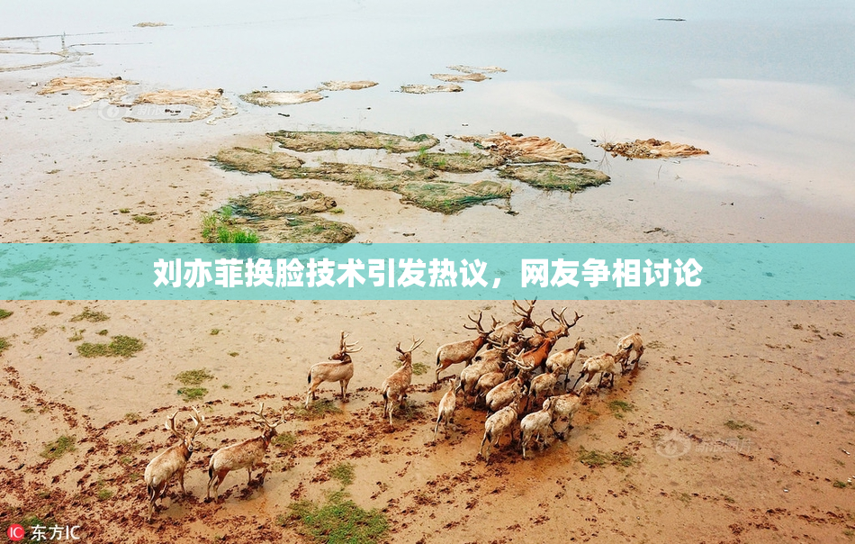 刘亦菲换脸技术引发热议，网友争相讨论