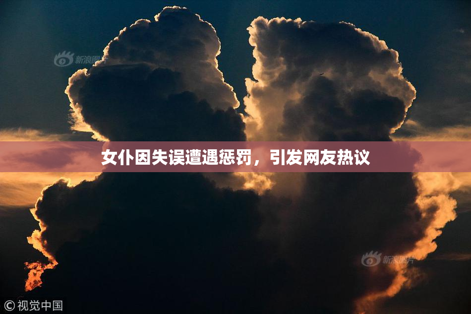 女仆因失误遭遇惩罚，引发网友热议