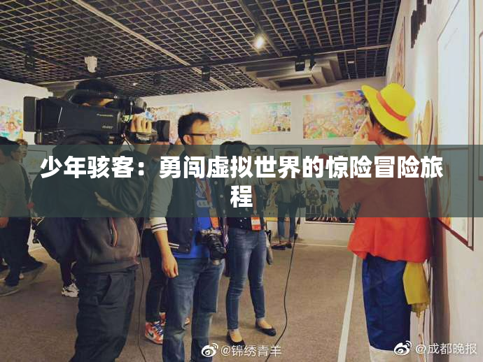 少年骇客：勇闯虚拟世界的惊险冒险旅程