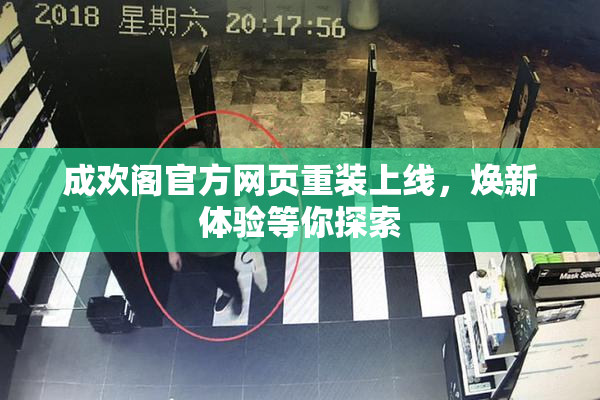 成欢阁官方网页重装上线，焕新体验等你探索