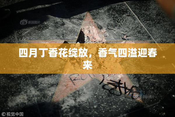 四月丁香花绽放，香气四溢迎春来