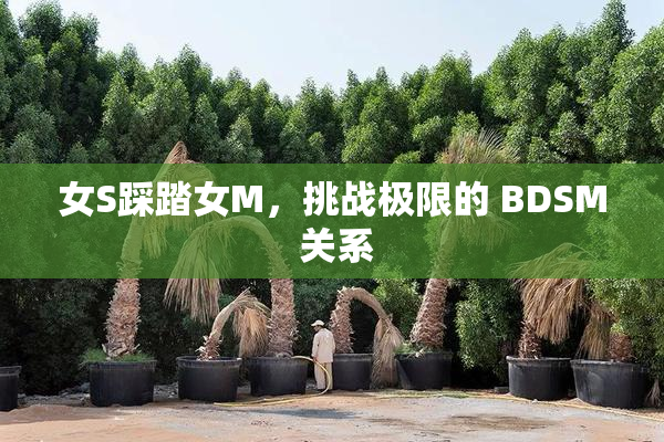 女S踩踏女M，挑战极限的 BDSM 关系