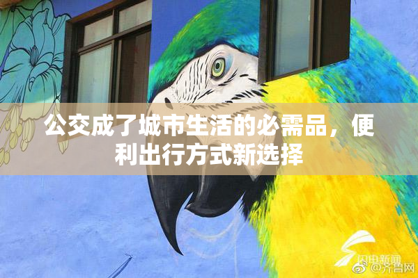 公交成了城市生活的必需品，便利出行方式新选择
