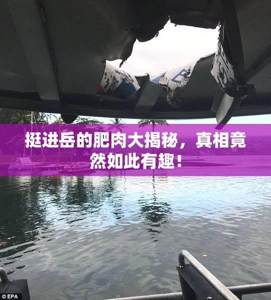 挺进岳的肥肉大揭秘，真相竟然如此有趣！