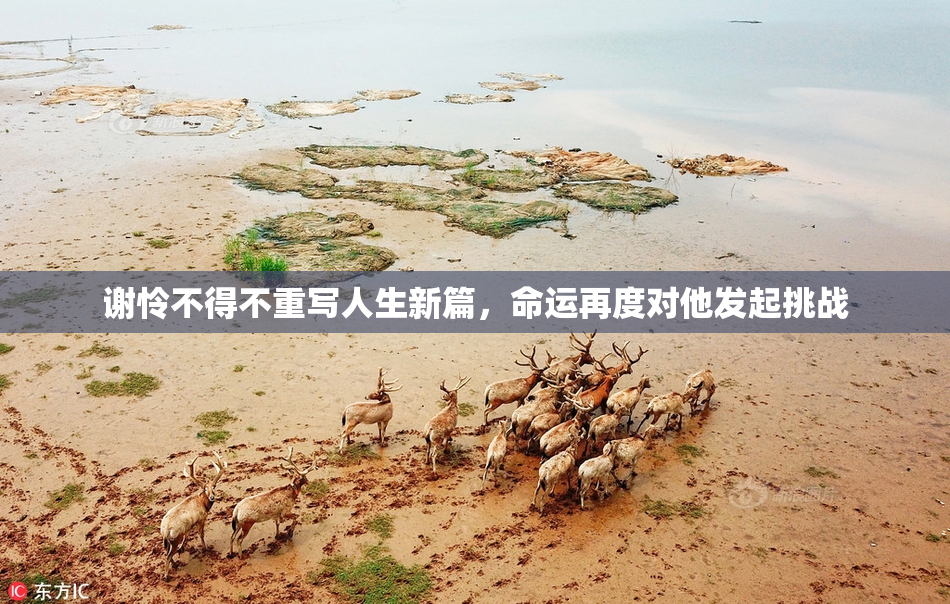 谢怜不得不重写人生新篇，命运再度对他发起挑战