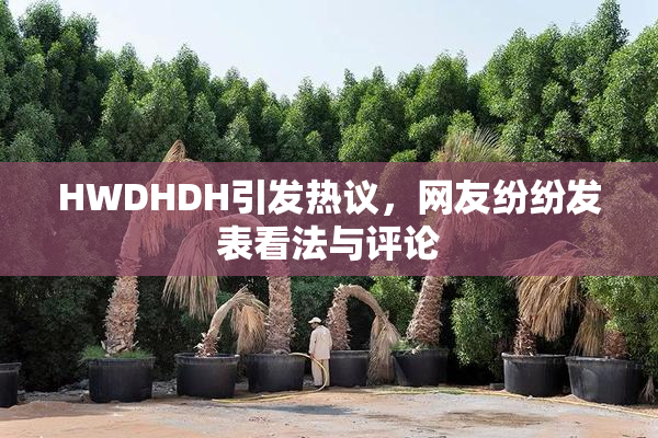 HWDHDH引发热议，网友纷纷发表看法与评论
