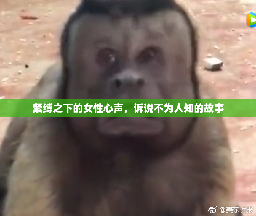 紧缚之下的女性心声，诉说不为人知的故事