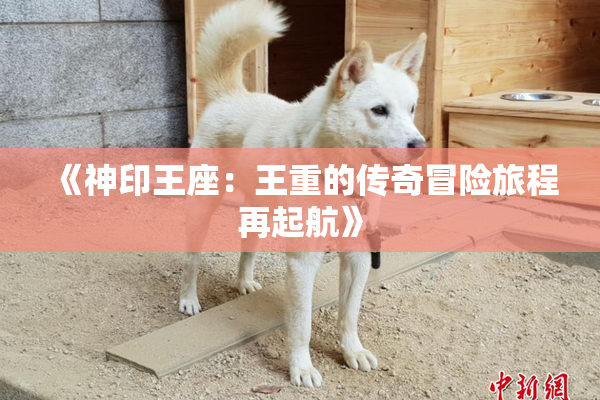 《神印王座：王重的传奇冒险旅程再起航》