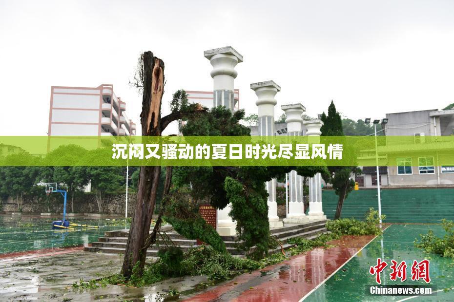 沉闷又骚动的夏日时光尽显风情