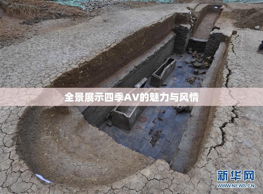 全景展示四季AV的魅力与风情