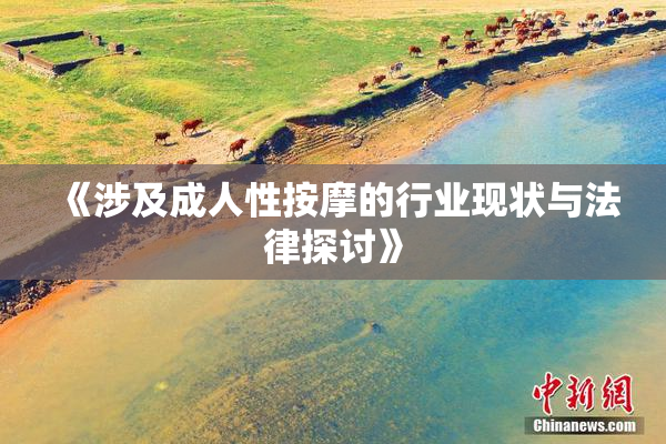 《涉及成人性按摩的行业现状与法律探讨》