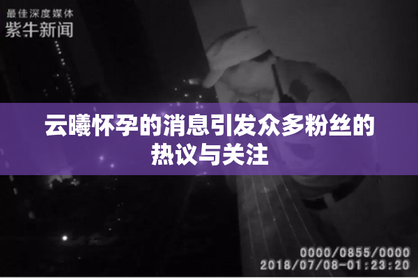 云曦怀孕的消息引发众多粉丝的热议与关注
