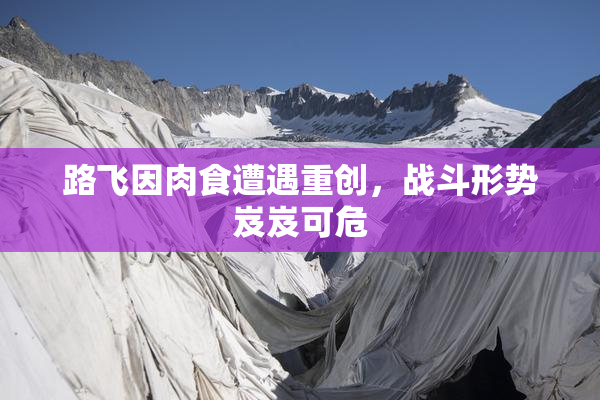 路飞因肉食遭遇重创，战斗形势岌岌可危
