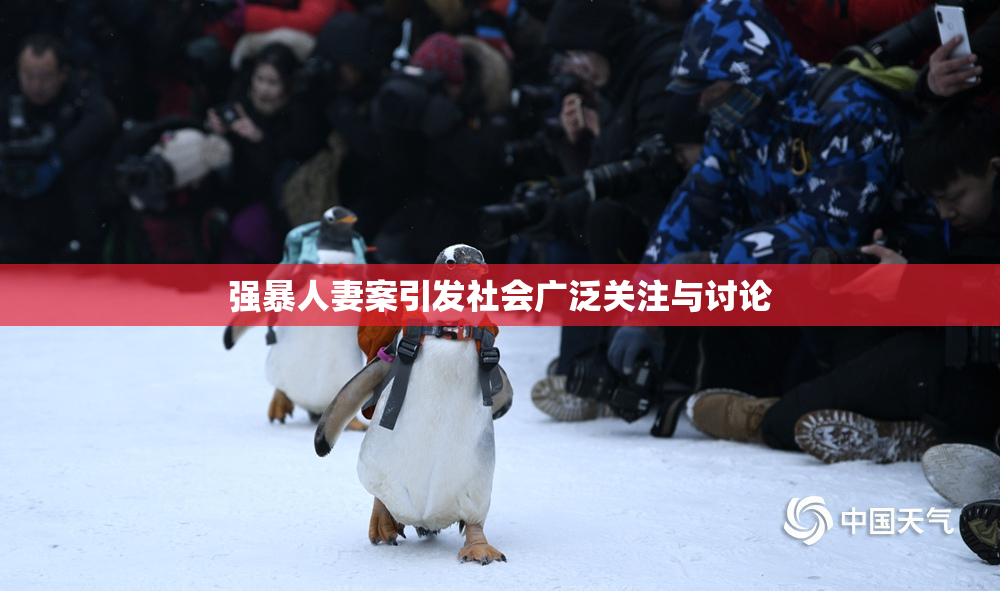 强暴人妻案引发社会广泛关注与讨论