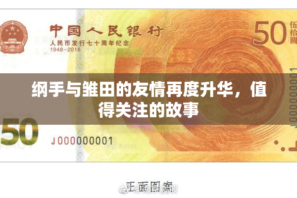 纲手与雏田的友情再度升华，值得关注的故事