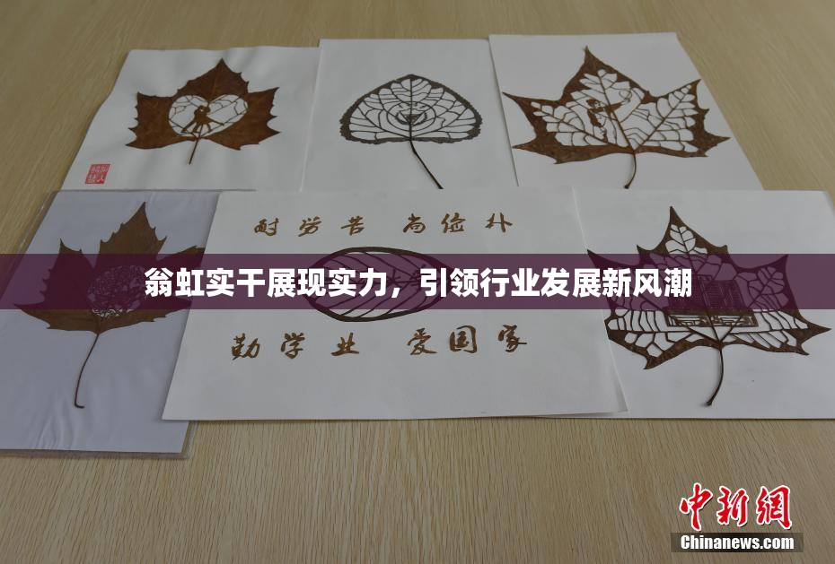 翁虹实干展现实力，引领行业发展新风潮