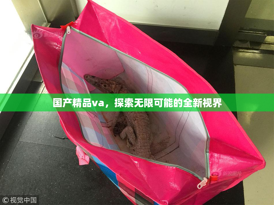 国产精品va，探索无限可能的全新视界