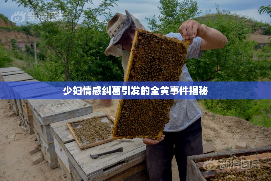 少妇情感纠葛引发的全黄事件揭秘