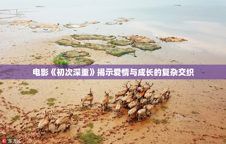 电影《初次深重》揭示爱情与成长的复杂交织