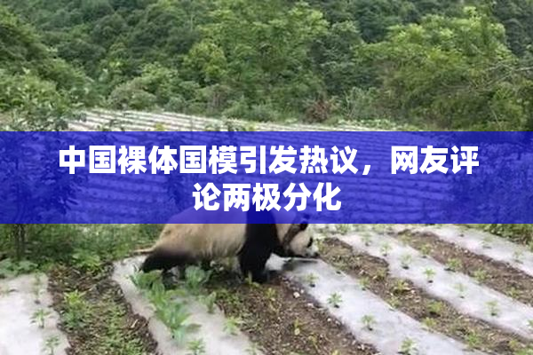中国裸体国模引发热议，网友评论两极分化