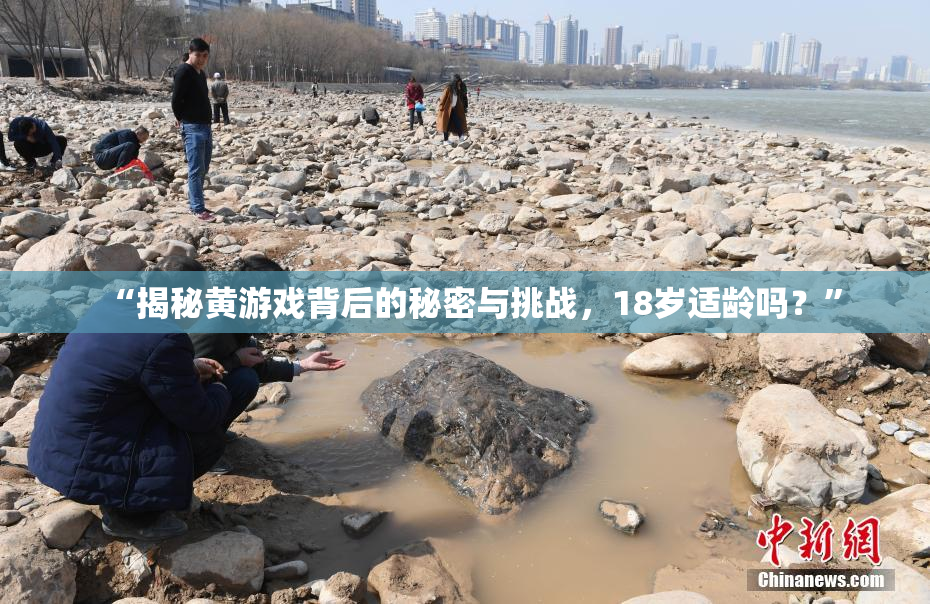 “揭秘黄游戏背后的秘密与挑战，18岁适龄吗？”